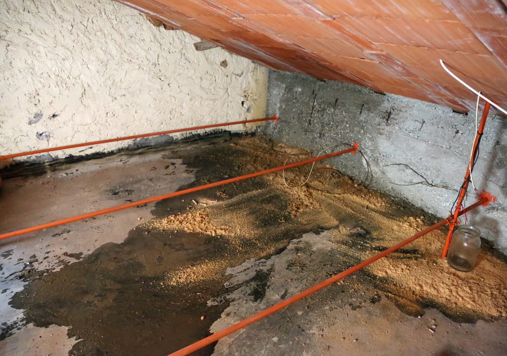 damp attic with serious problems of moisture and seepage from the roof due to the shabby tiles