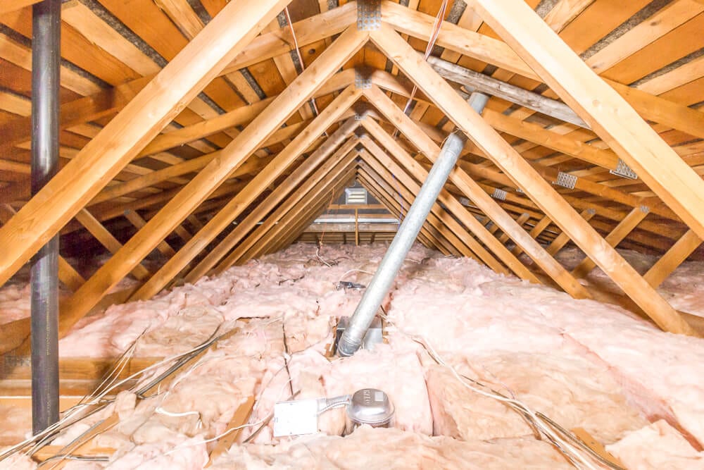 attic insulation on the ground before buying the house