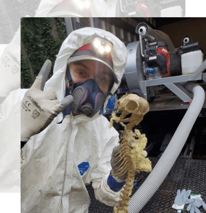 contractor and sanitation expert found a skeleton of an animal during sanitation/insulation removal
