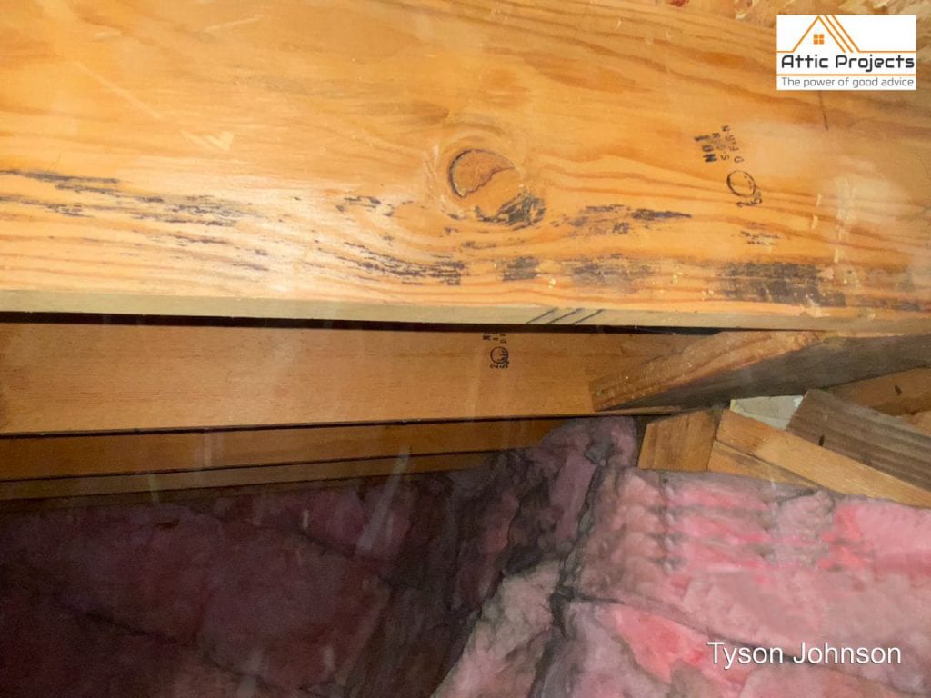mold remediation in the attic and insulation